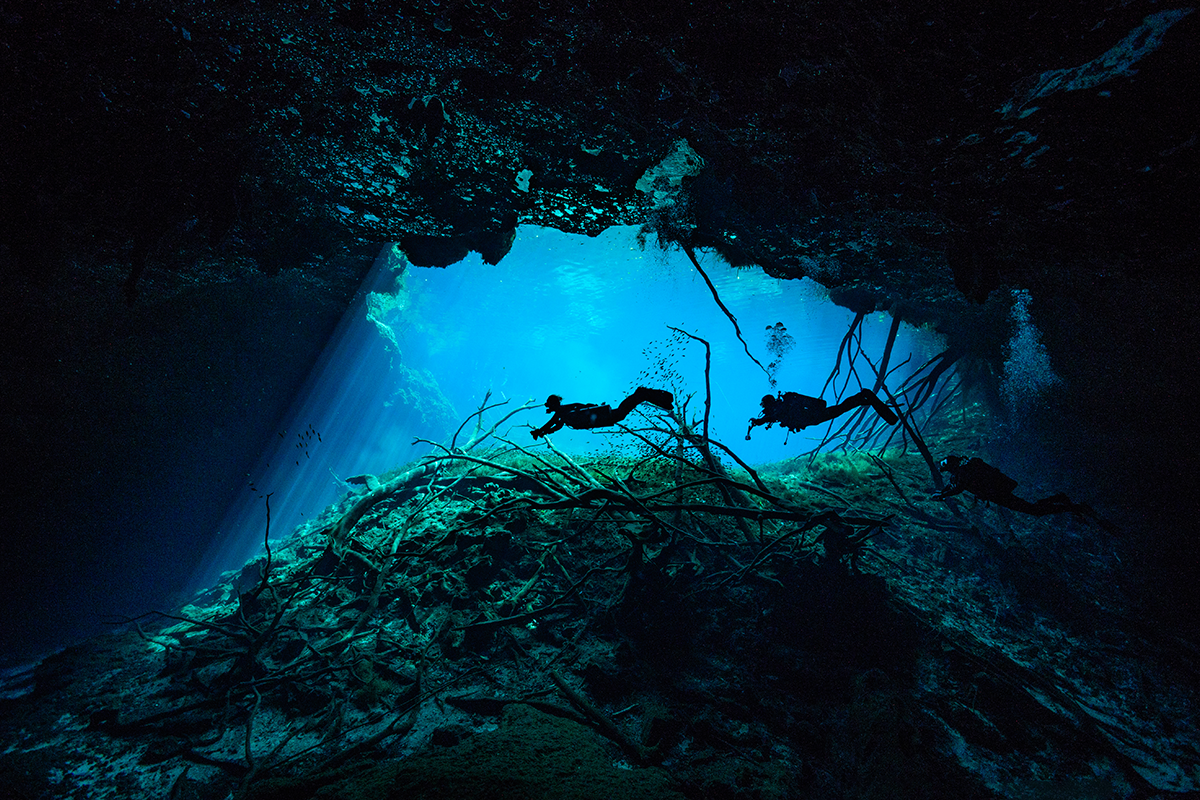 Taz Diving - A week in the cenotes