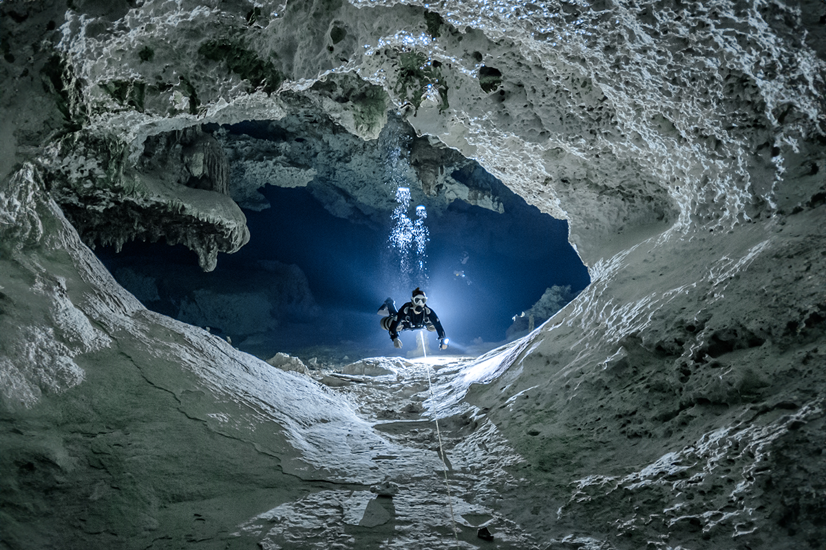 Taz Diving - A week in the cenotes