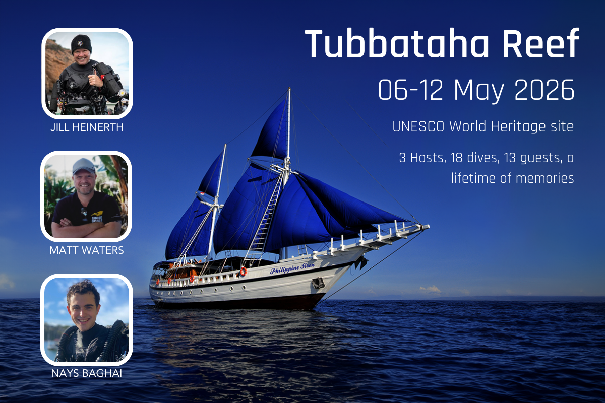 Tubbataha Reef: 6-12 May 2026